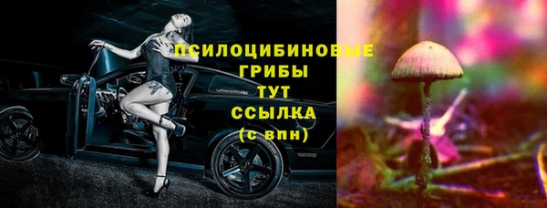 мдпв Беломорск