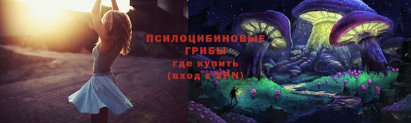 мдпв Беломорск