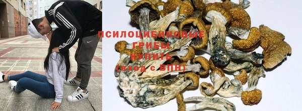 синтетический гашиш Белокуриха