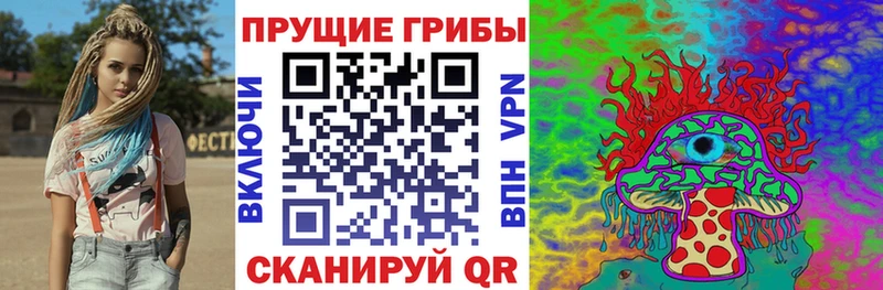 купить наркотик  Гусев  OMG зеркало  Галлюциногенные грибы GOLDEN TEACHER 