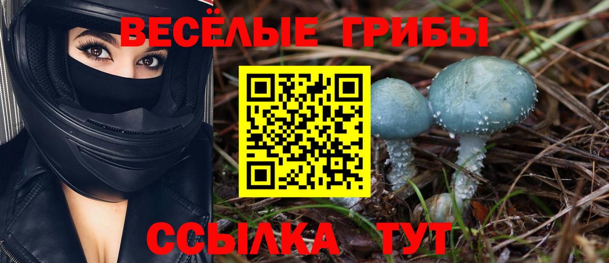 Галлюциногенные грибы мухоморы Гусев